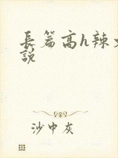 长篇高h辣文小说