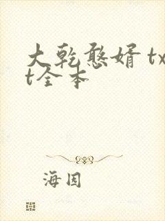 大乾憨婿 txt全本