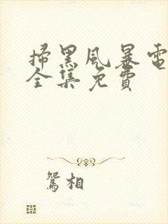 扫黑风暴电视剧全集免费