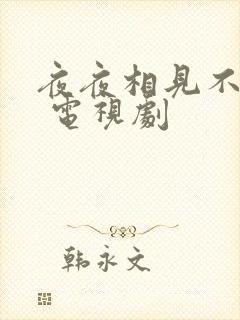 夜夜相见不识君 电视剧