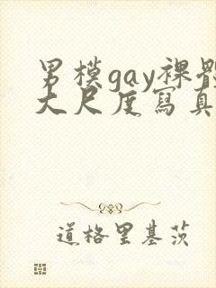 男模gay裸体大尺度写真