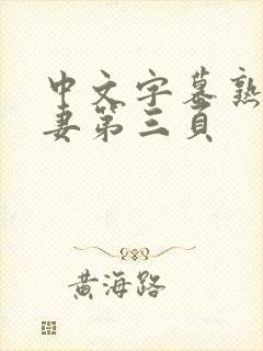 中文字幕熟女人妻第三页