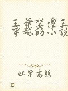 王爷装傻王妃是穿越的小说