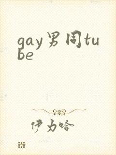 gay男同tube