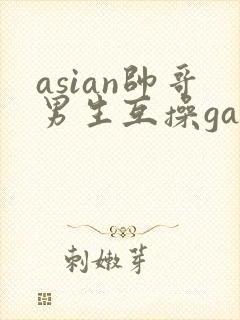 asian帅哥男生互操gay