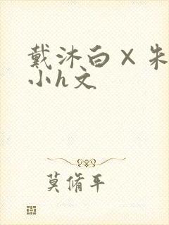 戴沐白×朱竹清小h文