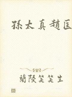 孙太真赵匡胤