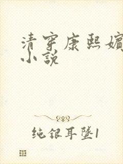 清穿康熙嫔妃的小说封面