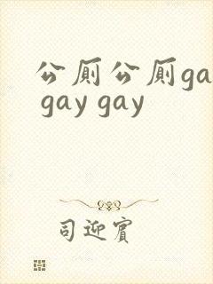 公厕公厕gay gay gay