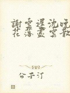谢云迟沈晚梨梨花落尽云散夜未明封面