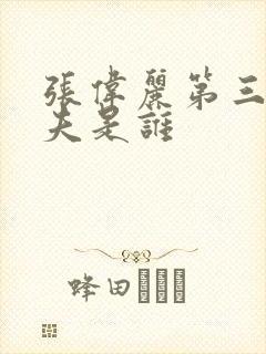 张伟丽第三任丈夫是谁
