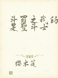 斗罗之我的武魂是圣斗士封面
