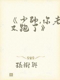《少帅,你老婆又跑了》