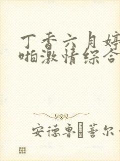 丁香六月婷婷啪啪激情综合