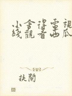 小舍得电视剧在线观看西瓜42集封面