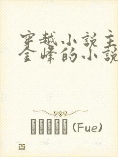 穿越小说主人公金峰的小说