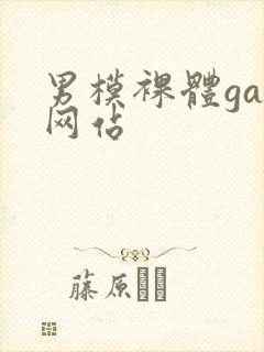 男模裸体gay网站
