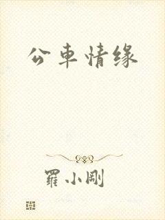 公车情缘封面