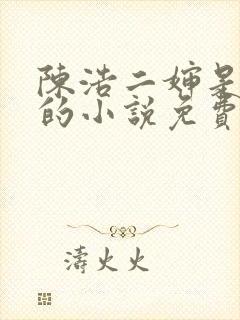 陈浩二婶是哑巴的小说免费阅读