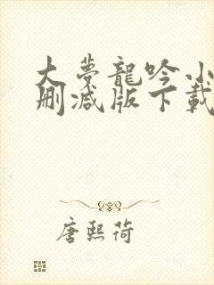 大梦龙吟小说未删减版下载