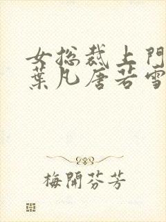 女总裁上门女婿叶凡唐若雪封面