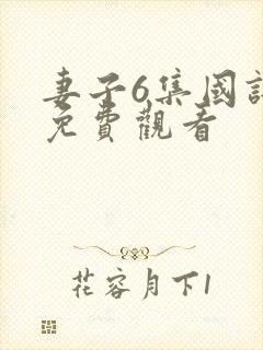 妻子6集国语版免费观看