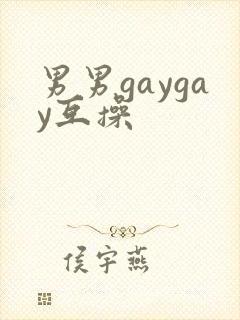 男男gaygay互操