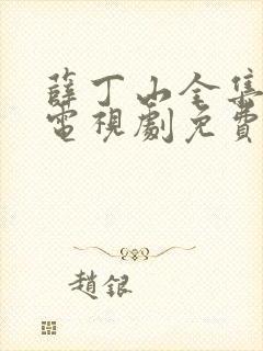 薛丁山全集40电视剧免费观看
