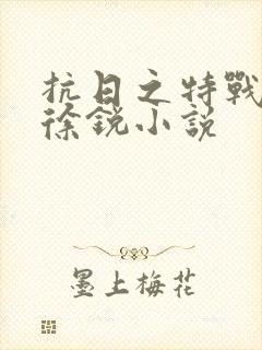 抗日之特战兵王徐锐小说