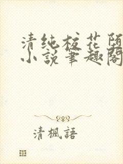 清纯校花堕落记小说笔趣阁