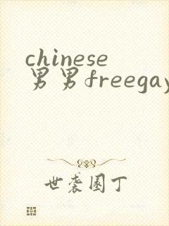 chinese男男freegay网站封面