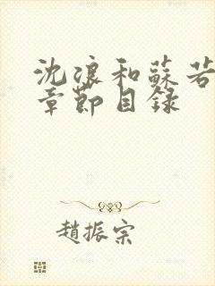 沈浪和苏若雪全章节目录封面