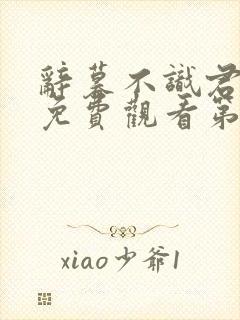 辞暮不识君短剧免费观看第50集封面