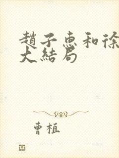 赵子惠和徐天的大结局