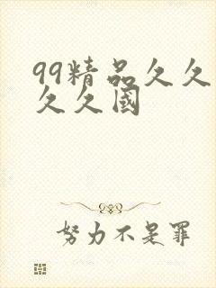 99精品久久久久久国
