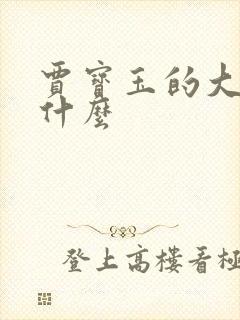贾宝玉的大名是什么