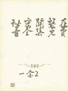 秘密关系在线观看全集免费高清封面