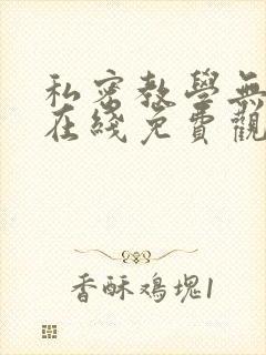 私密教学无删减在线免费观看封面