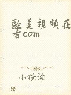 欧美视频在线观看com