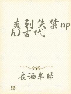 爽到失禁np(h)古代