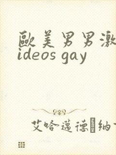 欧美男男激情videos gay