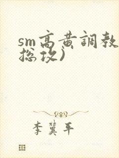sm高黄调教(总攻)封面