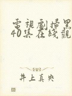 电视剧扫黑风暴40集在线观看免费完整版封面