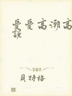 爱爱高潮高清小说