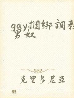 gay捆绑调教男奴