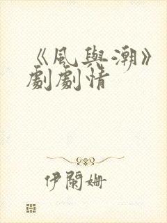 《风与潮》电视剧剧情封面