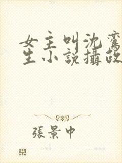 女主叫沈鸾的重生小说摄政王