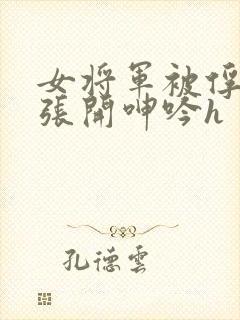 女将军被俘双腿张开呻吟h封面