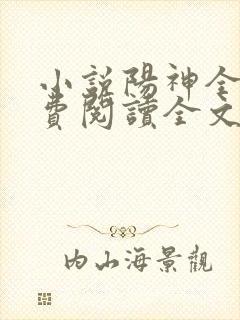 小说阳神全文免费阅读全文