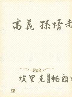 高义 孙倩赵敏